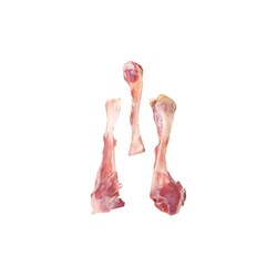 CAMILLO - Tre ossa di prosciutto sanificato sottovuoto