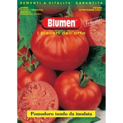 BLUMEN - Pomodoro tondo da insalata